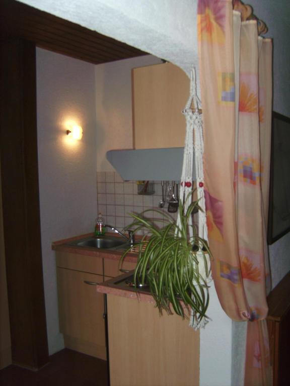 Ferienwohnung Evangeline Borsch زيل ان دير موسل المظهر الخارجي الصورة