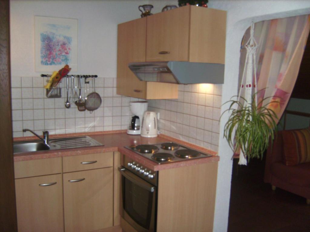 Ferienwohnung Evangeline Borsch زيل ان دير موسل المظهر الخارجي الصورة